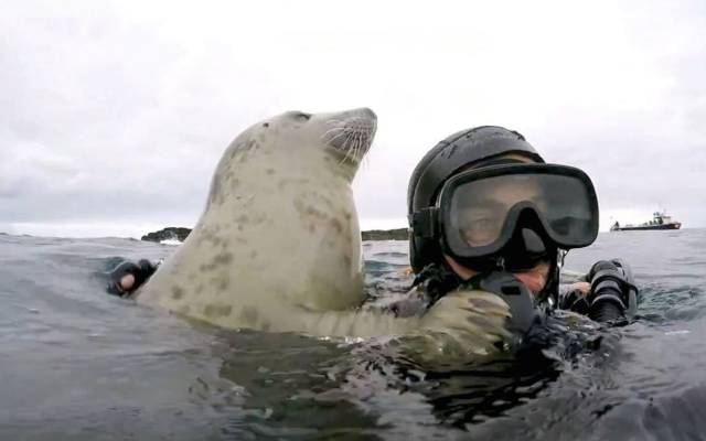 daily picdump 97 pics 49.html - 97 HD Photos | Premium Gallery 2017