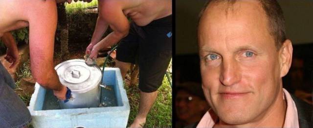 daily picdump 97 pics 49.html - 97 HD Photos | Premium Gallery 2017