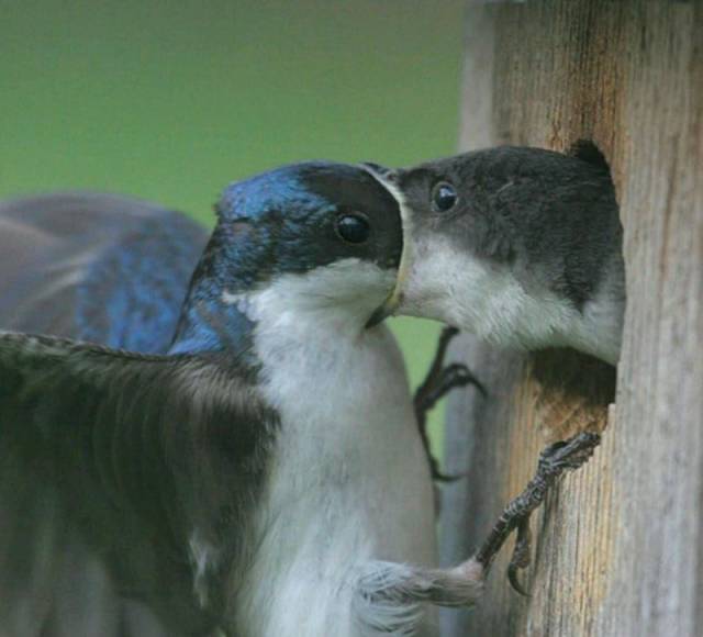 daily picdump 97 pics 49.html - 97 HD Photos | Premium Gallery 2017