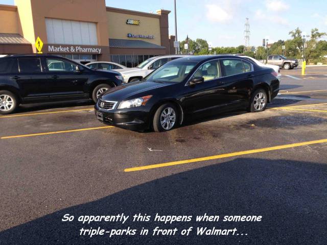 daily picdump 97 pics 49.html - 97 HD Photos | Premium Gallery 2017