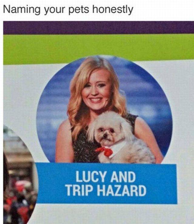 daily picdump 97 pics 49.html - 97 HD Photos | Premium Gallery 2017