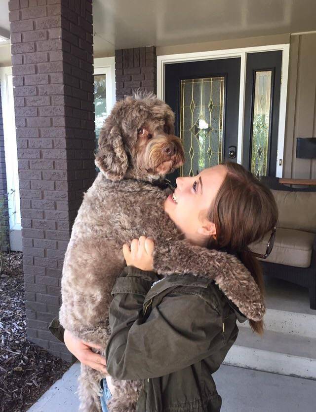 daily picdump 97 pics 49.html - 97 HD Photos | Premium Gallery 2017