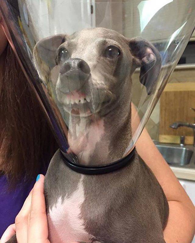 daily picdump 97 pics 49.html - 97 HD Photos | Premium Gallery 2017