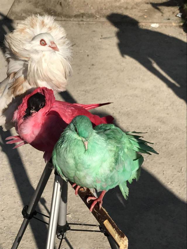 daily picdump 97 pics 49.html - 97 HD Photos | Premium Gallery 2017