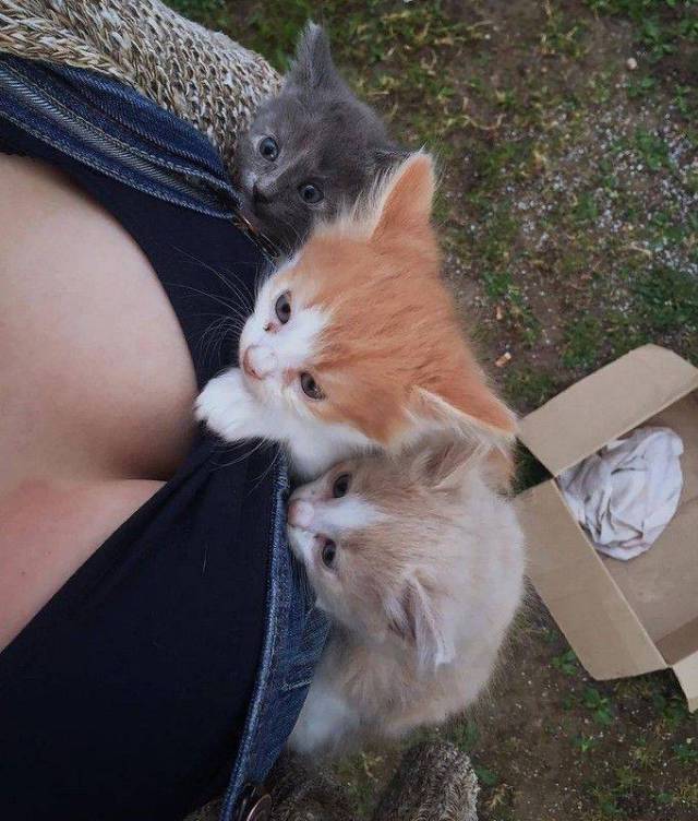 daily picdump 97 pics 49.html - 97 HD Photos | Premium Gallery 2017