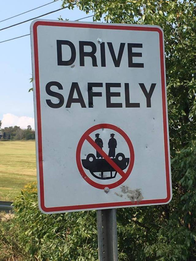 daily picdump 97 pics 49.html - 97 HD Photos | Premium Gallery 2017