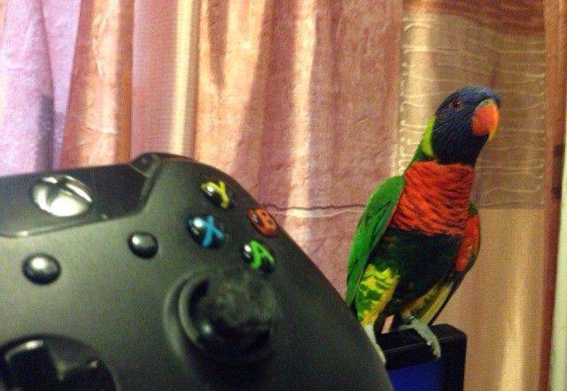 daily picdump 99 pics 38.html - 99 HD Photos | Premium Gallery 2017