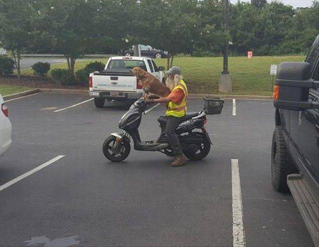 daily picdump 99 pics 38.html - 99 HD Photos | Premium Gallery 2017