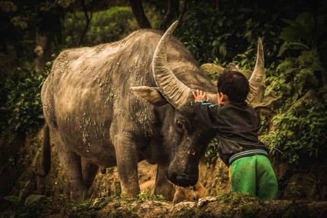 daily picdump 99 pics 38.html - 99 HD Photos | Premium Gallery 2017