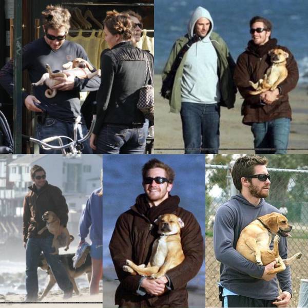 daily picdump 99 pics 38.html - 99 HD Photos | Premium Gallery 2017