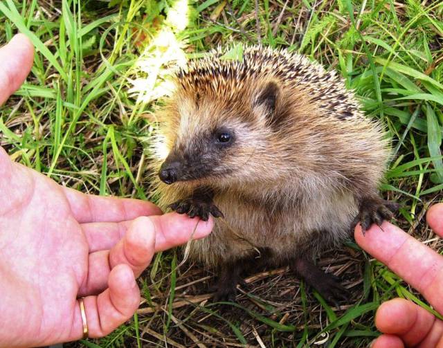 daily picdump 99 pics 38.html - 99 HD Photos | Premium Gallery 2017