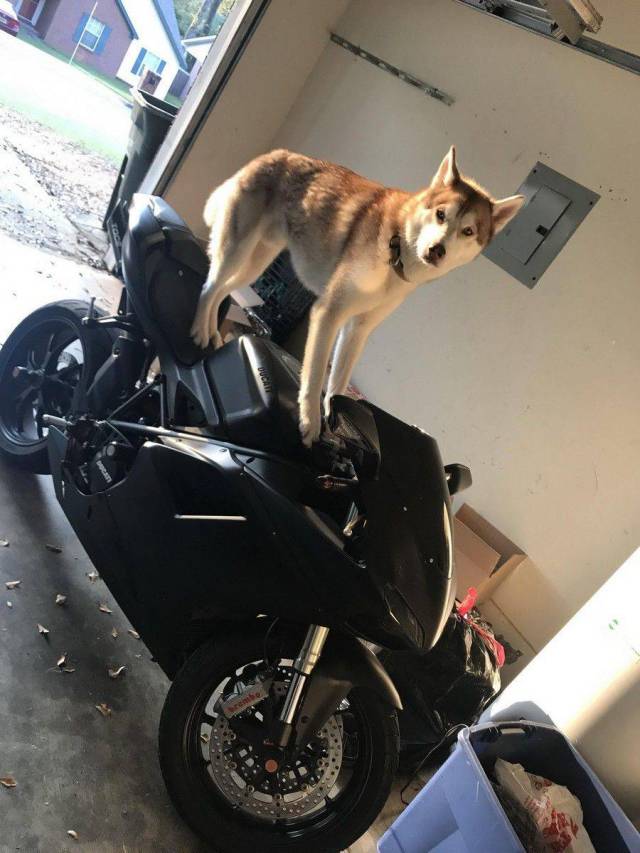 daily picdump 99 pics 38.html - 99 HD Photos | Premium Gallery 2017