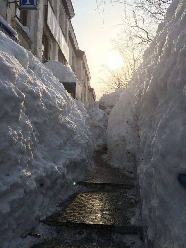 daily picdump 99 pics 38.html - 99 HD Photos | Premium Gallery 2017