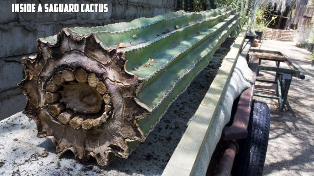 morning picdump 51 pics 12.html - 51 HD Photos | Premium Gallery 2017