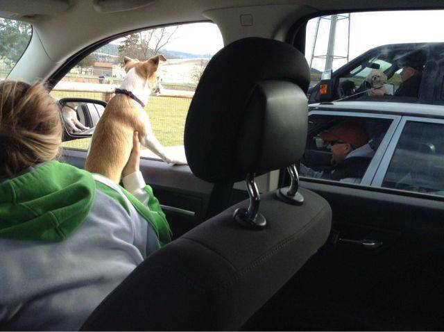 morning picdump 50 pics 21.html - 50 HD Photos | Premium Gallery 2017