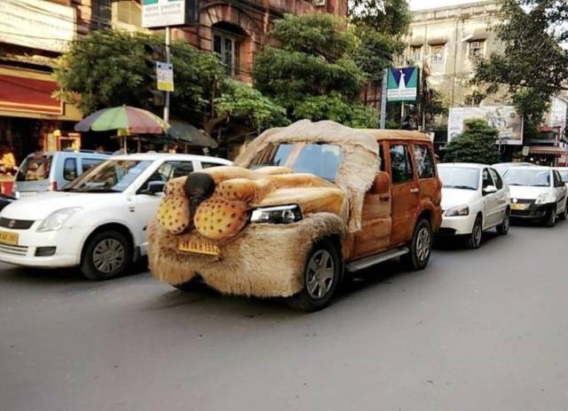 morning picdump 50 pics 21.html - 50 HD Photos | Premium Gallery 2017