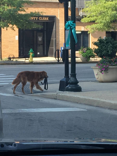 morning picdump 50 pics 21.html - 50 HD Photos | Premium Gallery 2017