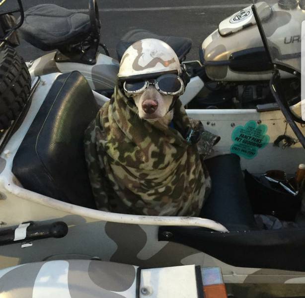 morning picdump 50 pics 21.html - 50 HD Photos | Premium Gallery 2017