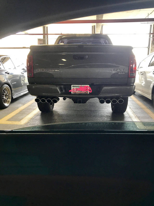 morning picdump 50 pics 21.html - 50 HD Photos | Premium Gallery 2017