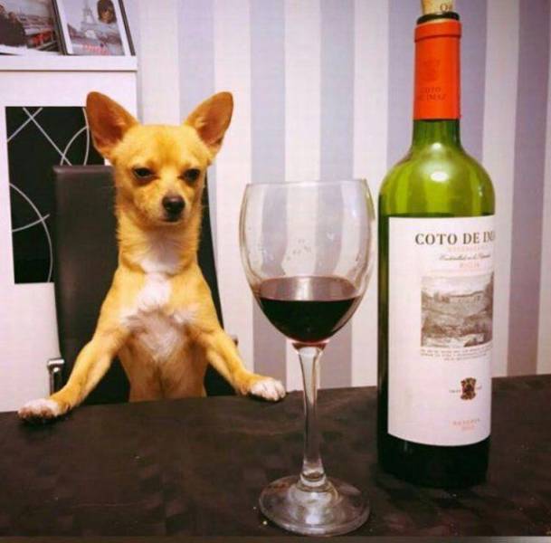 daily picdump weekend edition 64 pics 2.html - 64 HD Photos | Premium Gallery 2017