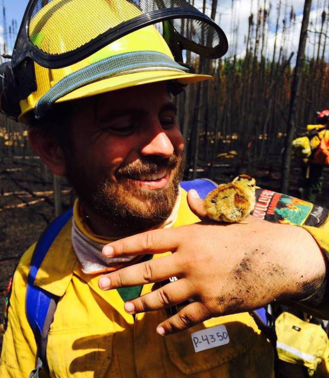 daily picdump weekend edition 64 pics 2.html - 64 HD Photos | Premium Gallery 2017