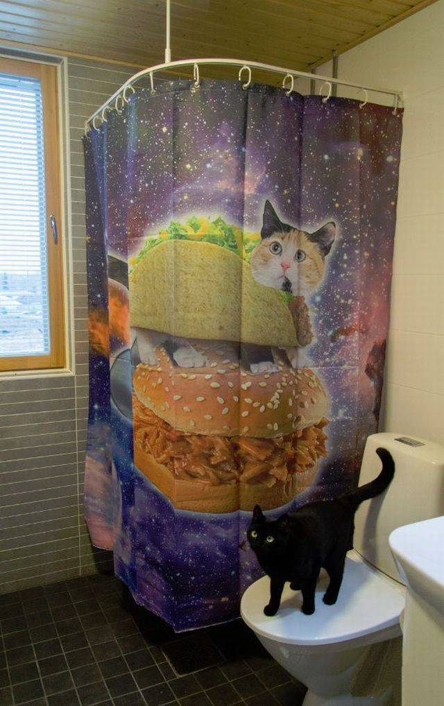 daily picdump weekend edition 64 pics 2.html - 64 HD Photos | Premium Gallery 2017