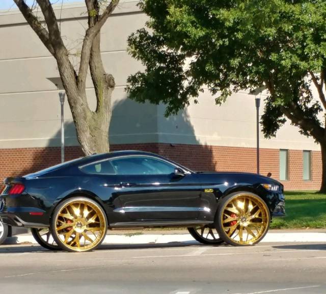 daily picdump 92 pics 33.html - 92 HD Photos | Premium Gallery 2017