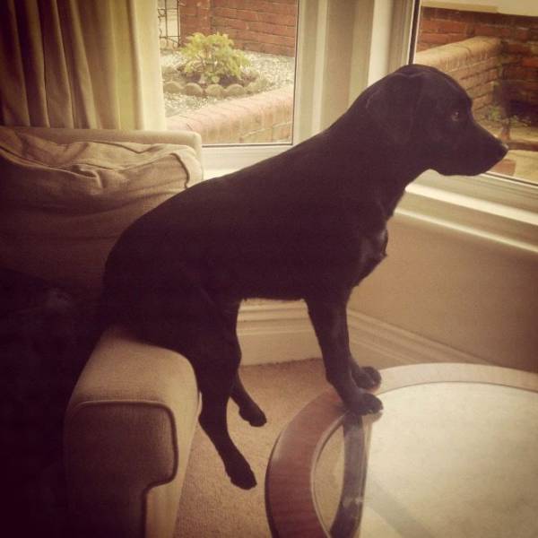 daily picdump 92 pics 33.html - 92 HD Photos | Premium Gallery 2017