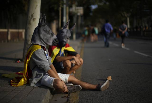 daily picdump 92 pics 33.html - 92 HD Photos | Premium Gallery 2017