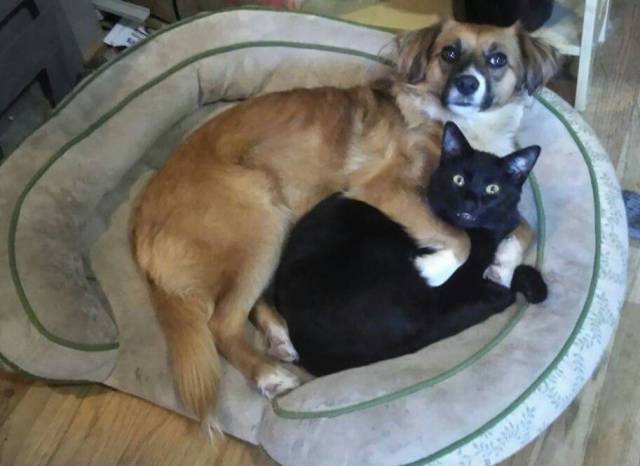 daily picdump 92 pics 33.html - 92 HD Photos | Premium Gallery 2017