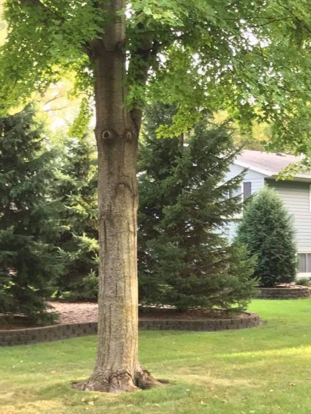 daily picdump 92 pics 33.html - 92 HD Photos | Premium Gallery 2017