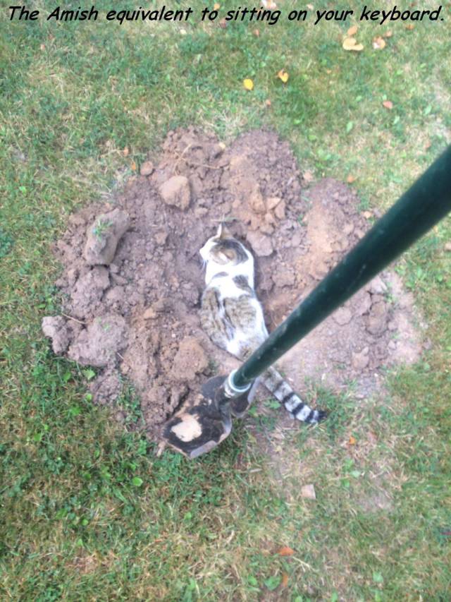 daily picdump 92 pics 33.html - 92 HD Photos | Premium Gallery 2017