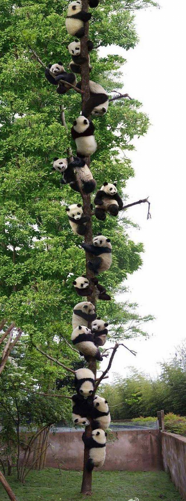 daily picdump 92 pics 33.html - 92 HD Photos | Premium Gallery 2017