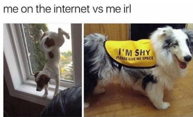 funny picdump 56 pics 4.html - 56 HD Photos | Premium Gallery 2017