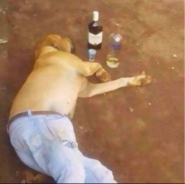 funny picdump 56 pics 4.html - 56 HD Photos | Premium Gallery 2017