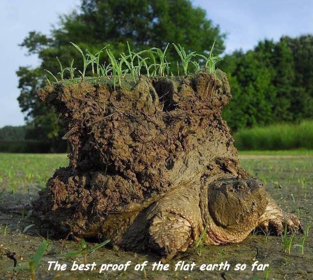 funny picdump 56 pics 4.html - 56 HD Photos | Premium Gallery 2017