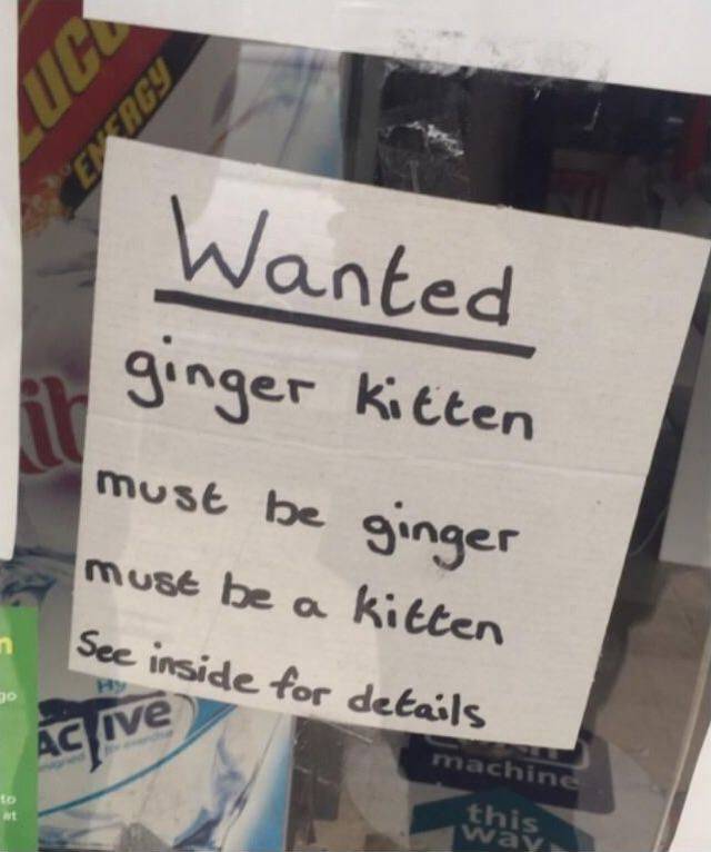 funny picdump 56 pics 4.html - 56 HD Photos | Premium Gallery 2017