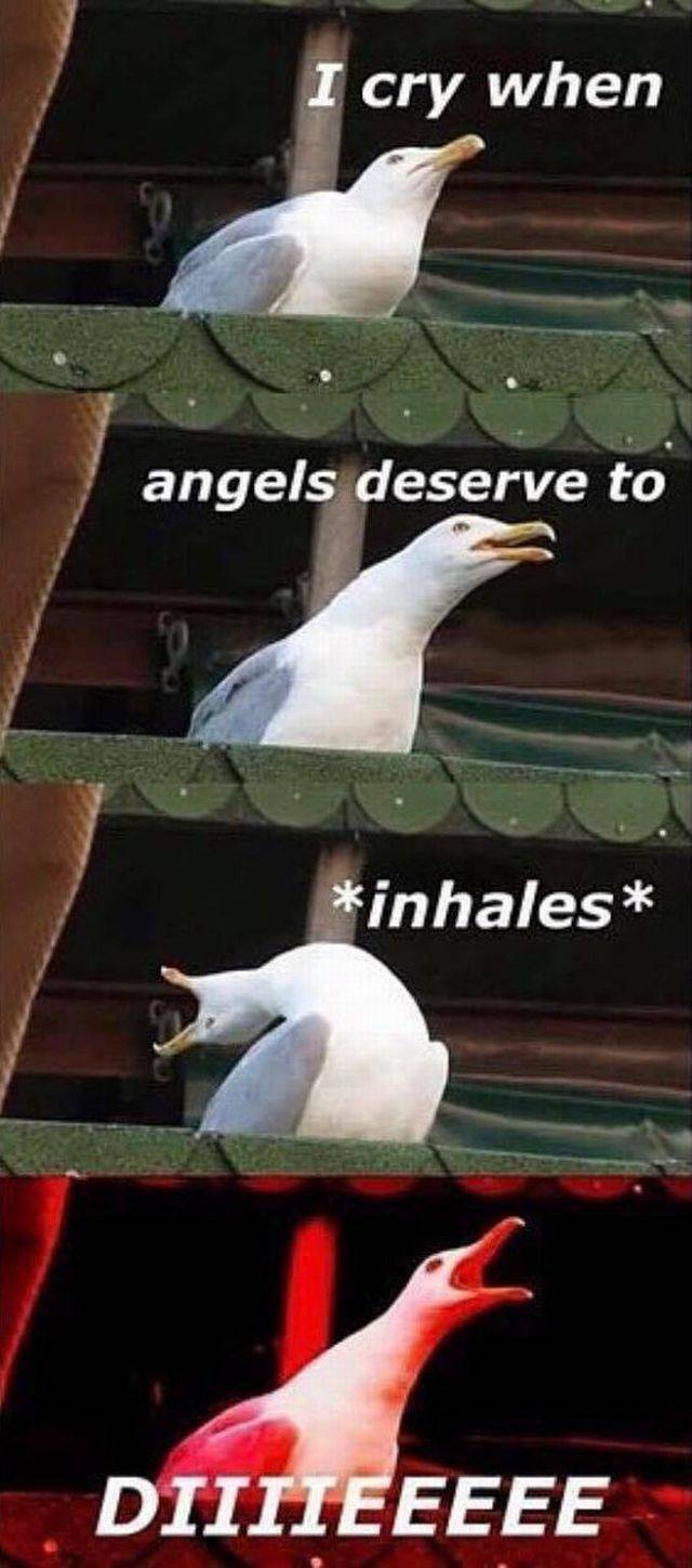 funny picdump 56 pics 4.html - 56 HD Photos | Premium Gallery 2017