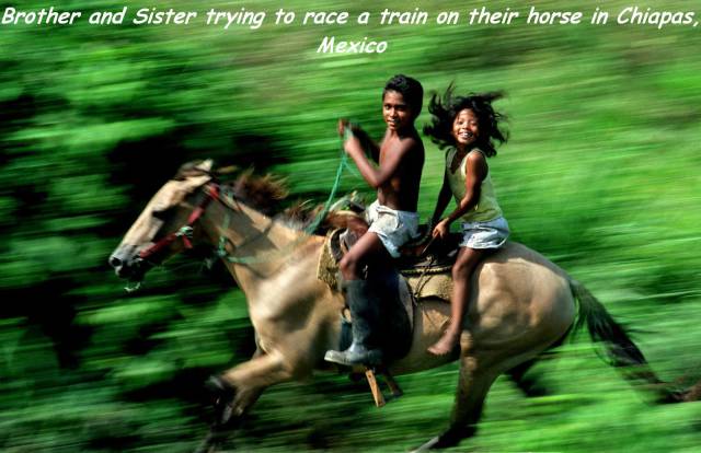 daily picdump 82 pics 3.html - 82 HD Photos | Premium Gallery 2017