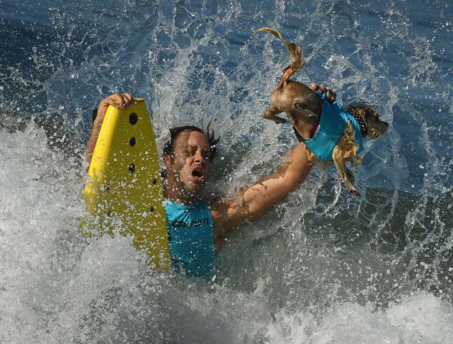 daily picdump 82 pics 3.html - 82 HD Photos | Premium Gallery 2017