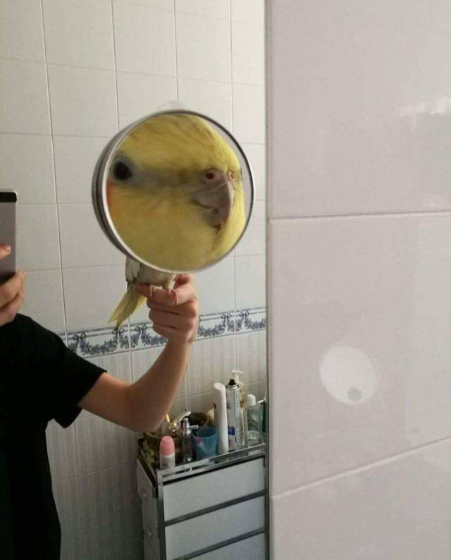 daily picdump 82 pics 3.html - 82 HD Photos | Premium Gallery 2017