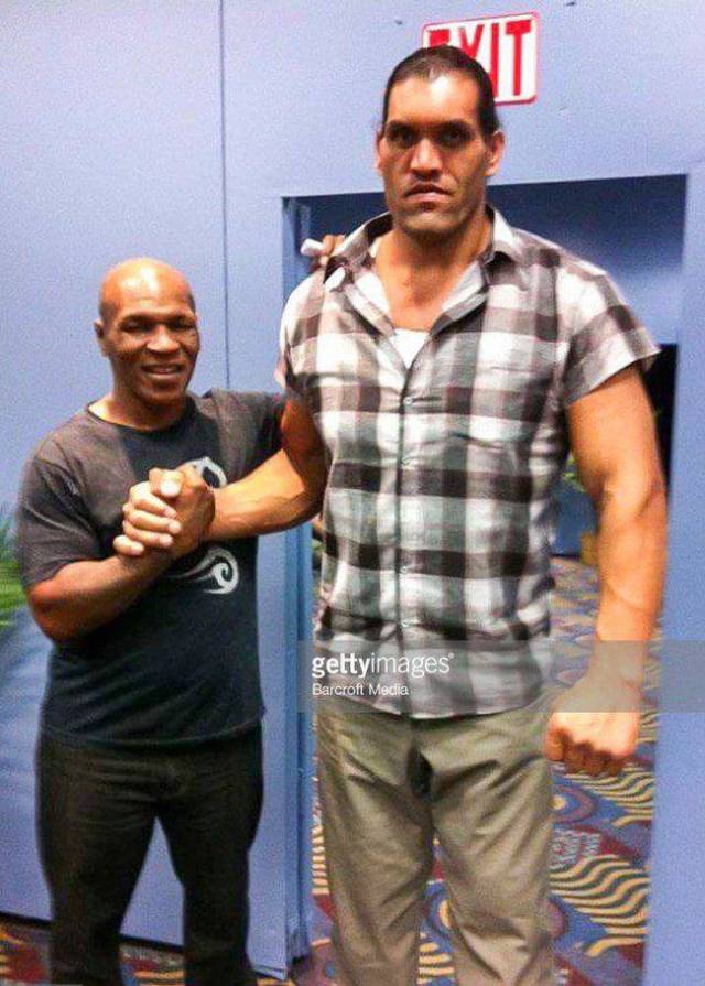 daily picdump 82 pics 3.html - 82 HD Photos | Premium Gallery 2017