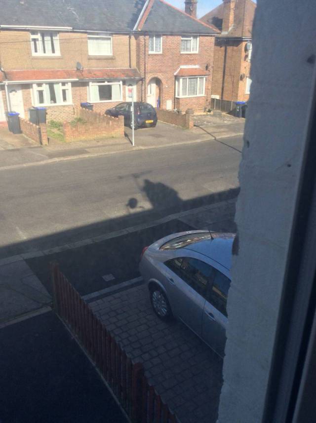 daily picdump 82 pics 3.html - 82 HD Photos | Premium Gallery 2017