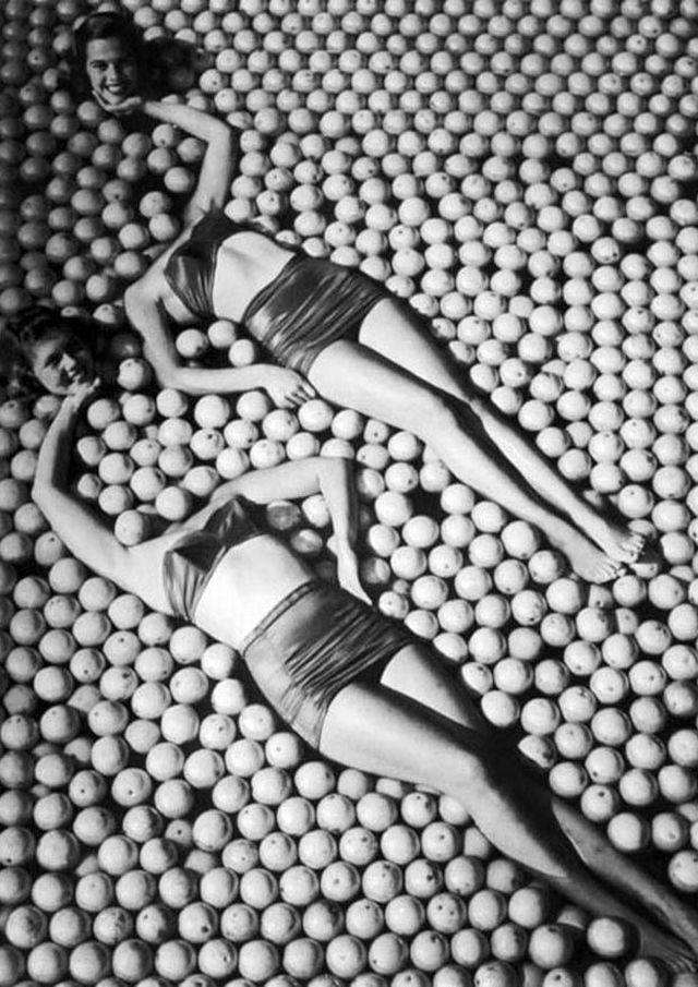 daily picdump 82 pics 3.html - 82 HD Photos | Premium Gallery 2017