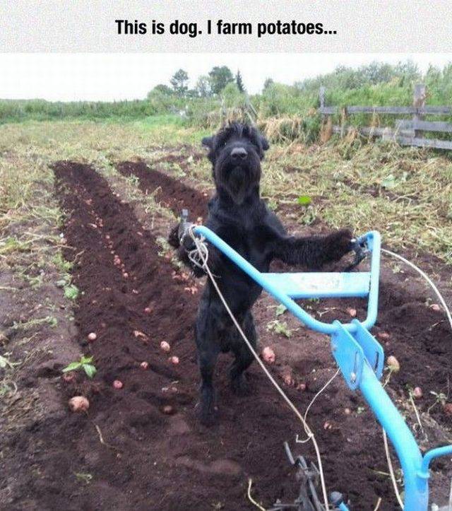 morning picdump 54 pics 9.html - 54 HD Photos | Premium Gallery 2017