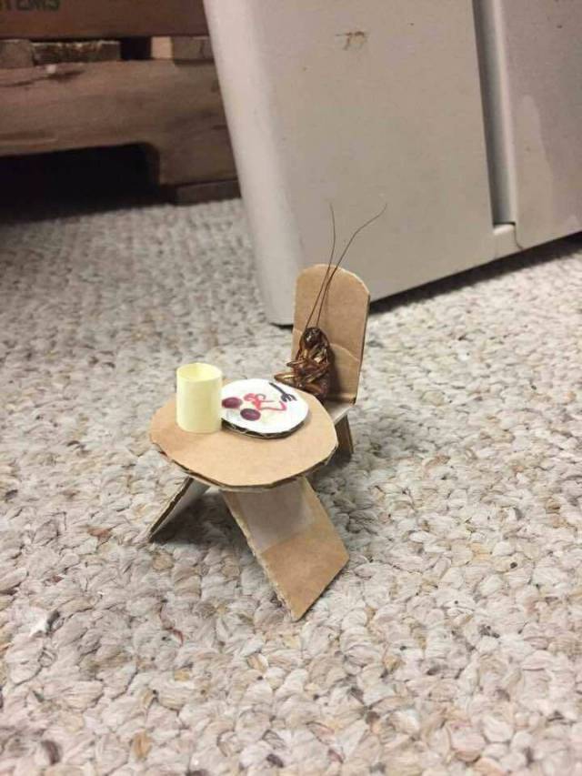 morning picdump 54 pics 9.html - 54 HD Photos | Premium Gallery 2017