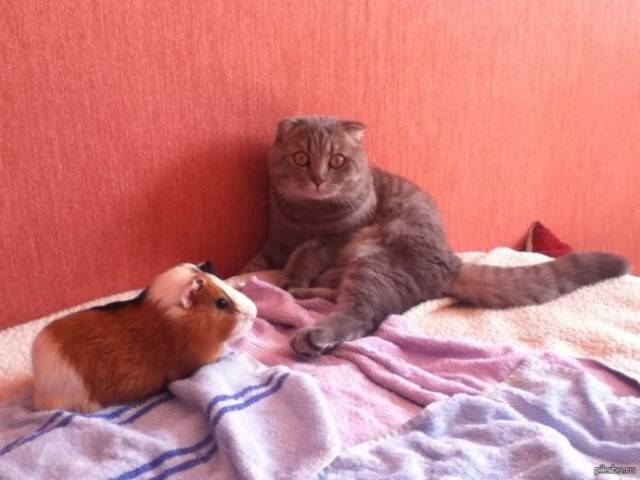 daily picdump 85 pics 36.html - 85 HD Photos | Premium Gallery 2017