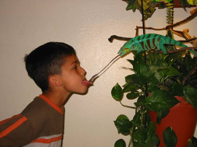 daily picdump 85 pics 36.html - 85 HD Photos | Premium Gallery 2017