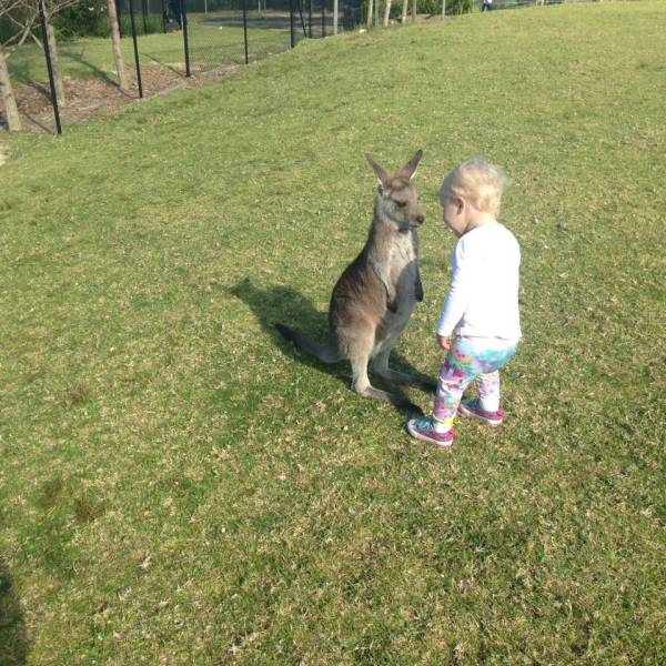 daily picdump 85 pics 36.html - 85 HD Photos | Premium Gallery 2017