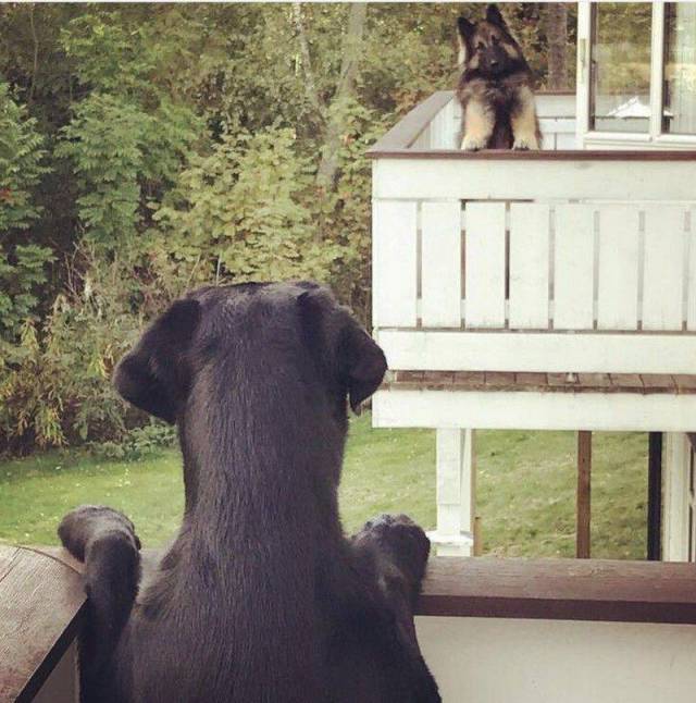 daily picdump 85 pics 36.html - 85 HD Photos | Premium Gallery 2017